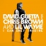 David Guetta / Chris Brown / Lil Wayne - I Can Only Imagine