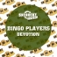 Bingo Players - Devotion