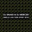 DJ Snake / DJ Mercer - Smells Like Teen Spirit 2010