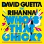 David Guetta / Rihanna - Who's That Chick?