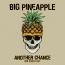 Big Pineapple / Don Diablo - Another Chance