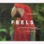 Calvin Harris / Pharrell Williams / Katy Perry / Big Sean - Feels