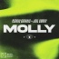Cedric Gervais - Molly