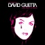 David Guetta - Love Don't Let Me Go