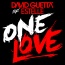 David Guetta - One Love