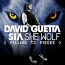 David Guetta / Sia - She Wolf (Falling To Pieces)