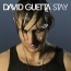 David Guetta / Chris Willis - Stay