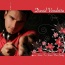 David Vendetta - Love To Love You Baby