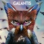 Galantis / Throttle - Tell Me You Love Me