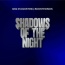 Gigi D'Agostino - Shadows Of The Night