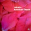 Jakatta - American Dream