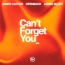 James Carter / Ofenbach / James Blunt - Can't Forget You