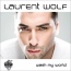 Laurent Wolf - Wash My World