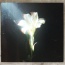 Netsky - Light That Leads Me