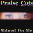 Praise Cats - Shined On Me