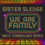 Sister Sledge - We are family (Nico Zandolino remix)
