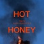 Tiësto - Hot Honey