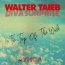 Walter Taieb / Diva Surprise / YMCA - On The Top Of The World